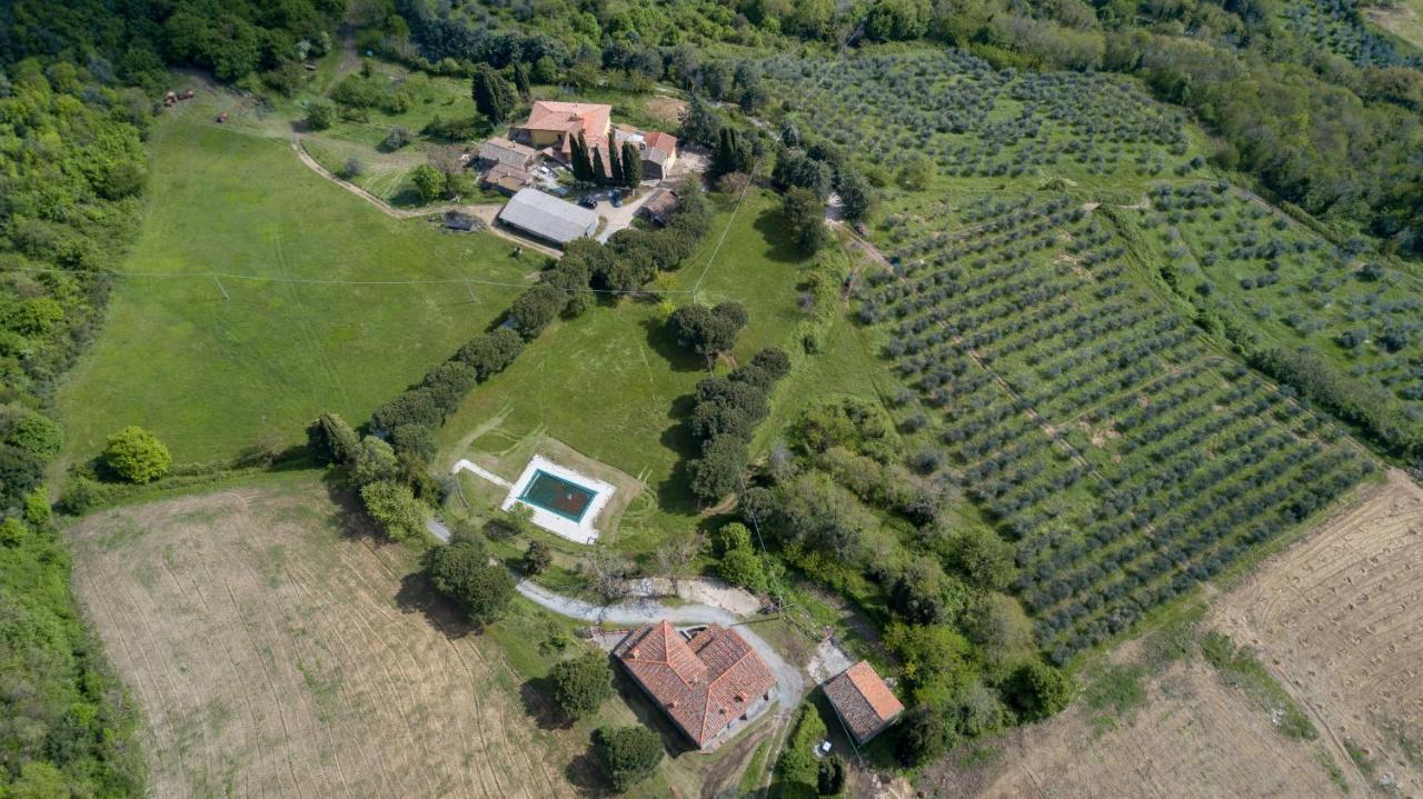 Fattoria Di Cintoia Villa Pontassieve Exterior photo